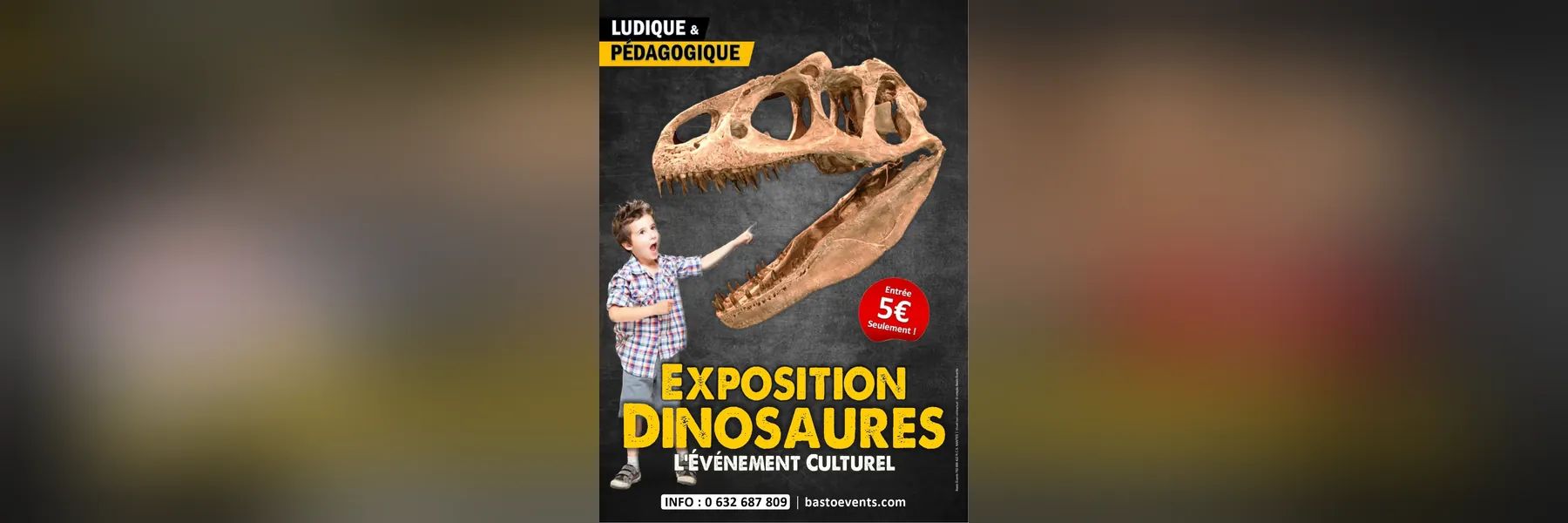 Dino Expo