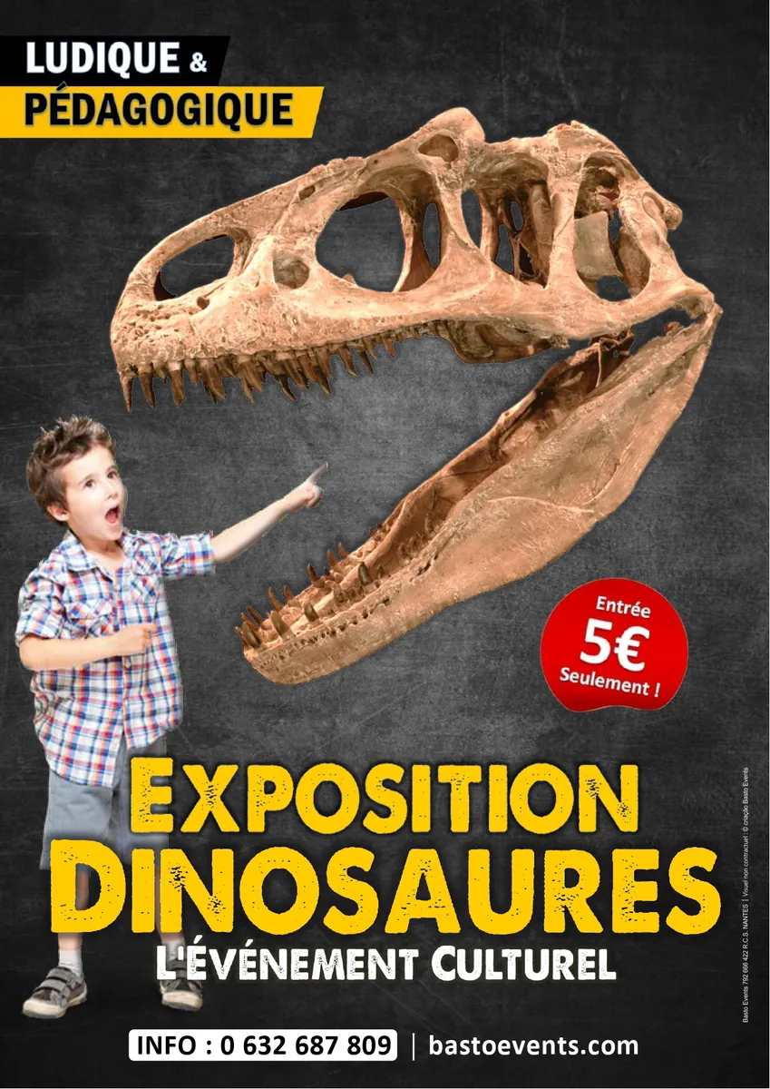 Dino Expo