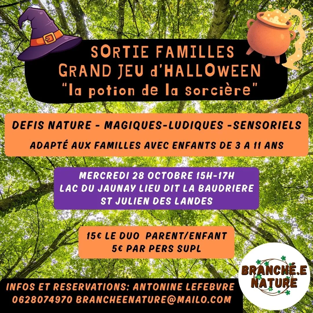 Grand jeu d'Halloween "La potion de la sorcière"