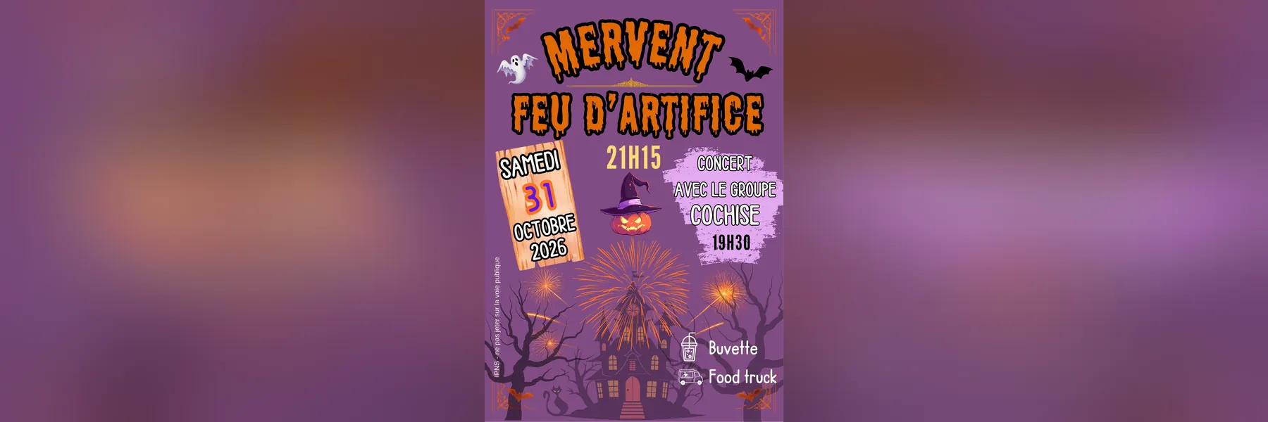 Feu d'artifice et concert