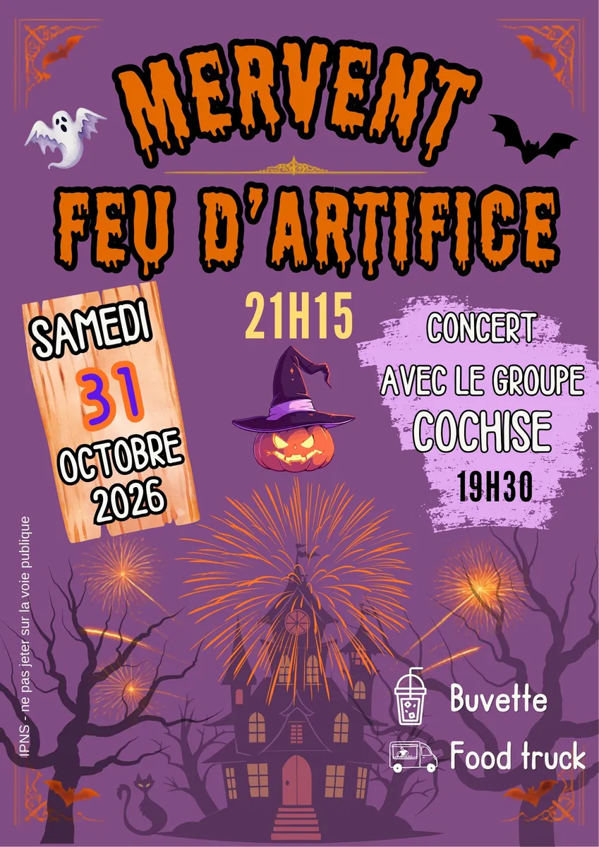 Feu d'artifice et concert