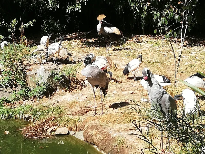 Natur'Zoo
