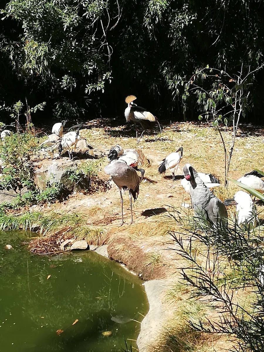 Natur'Zoo