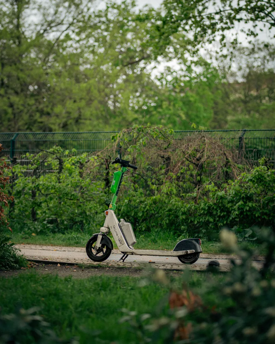 Trott & Nature