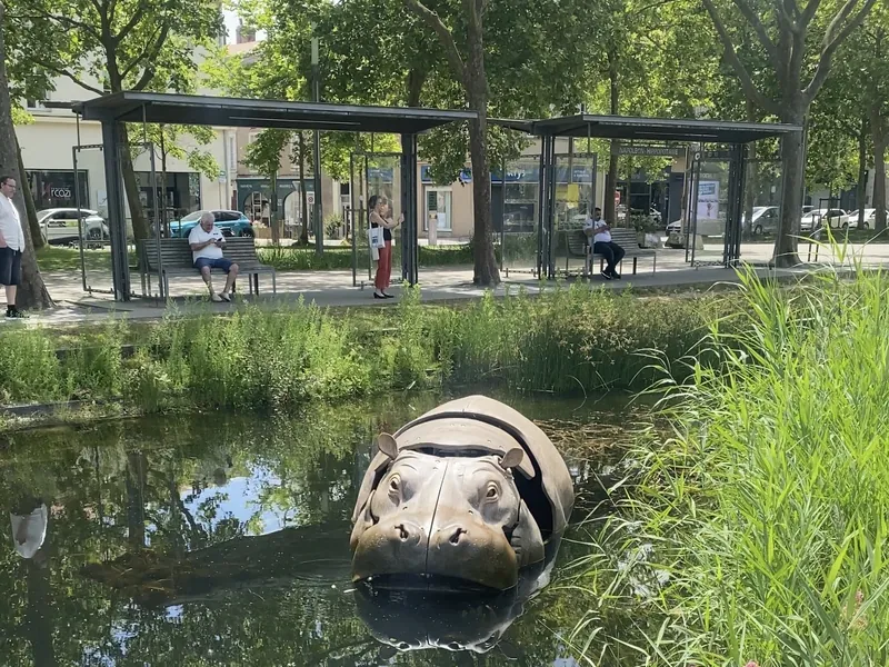 Les Animaux de la Place
