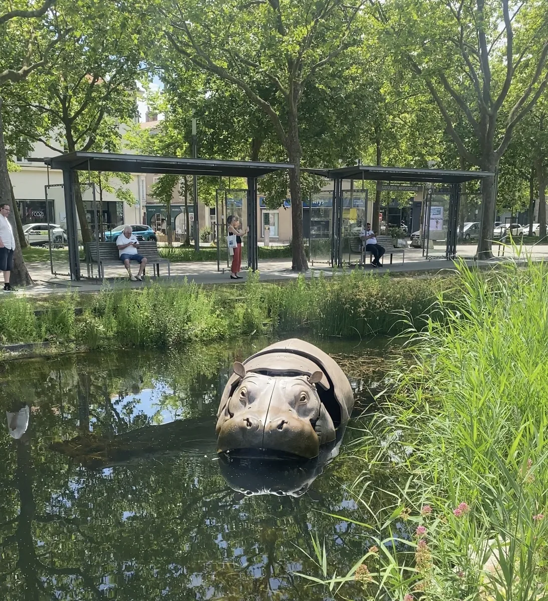 Les Animaux de la Place