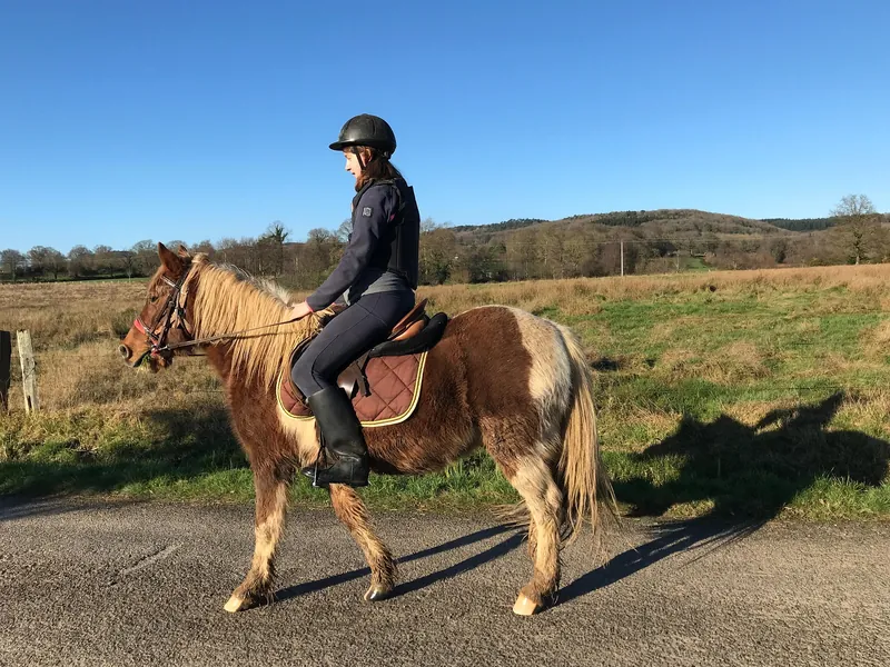 Nelly's Ranch Equitation
