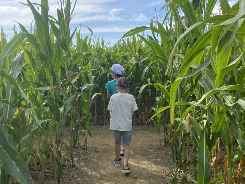 Labyrinthe en Vendée Vallée
