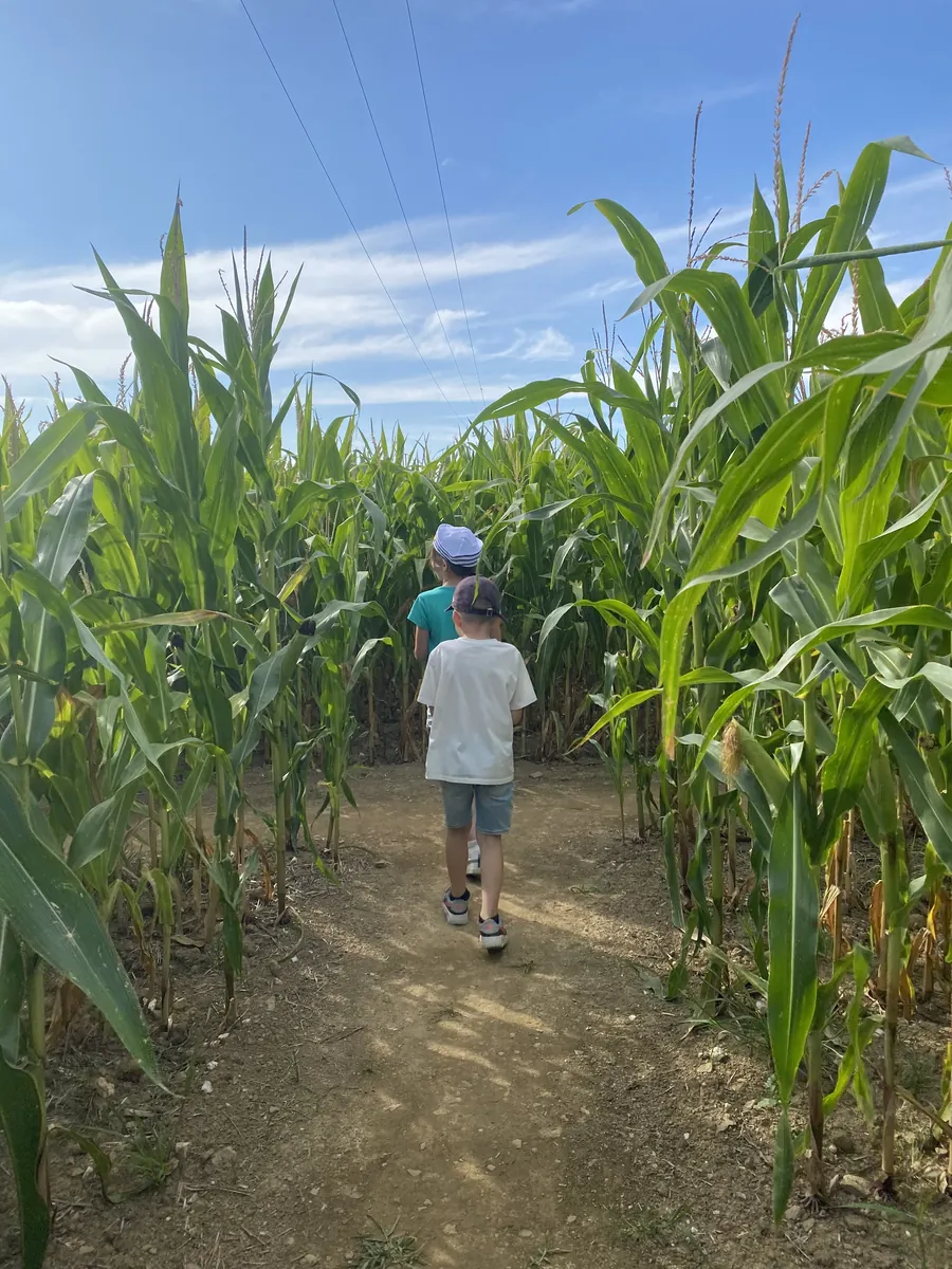 Labyrinthe en Vendée Vallée