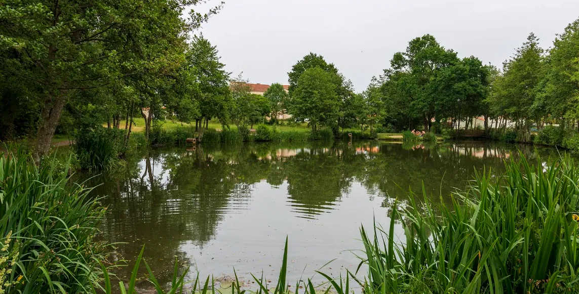Étang de pêche de La Coussaie