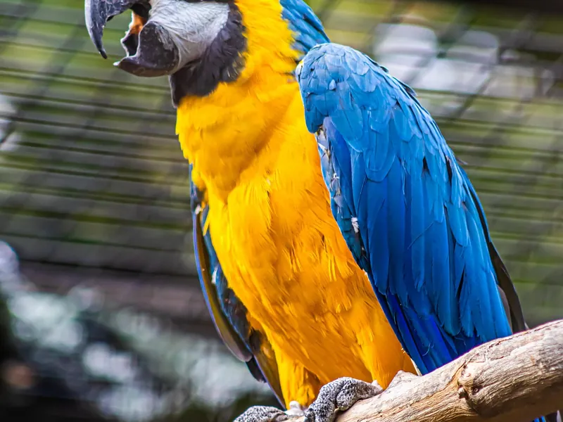 Zoo des Sables