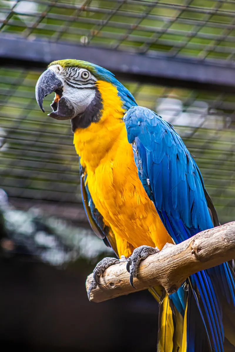 Zoo des Sables