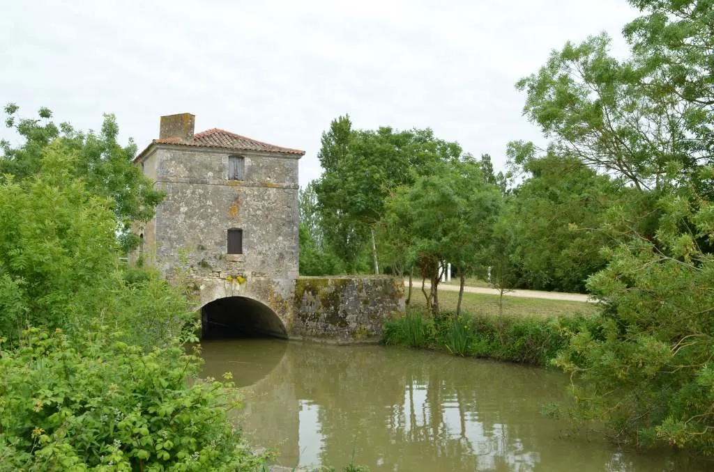 Le Port De Moricq