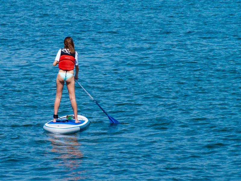 L'îlot Sur Sèvre - Canoë, Paddle