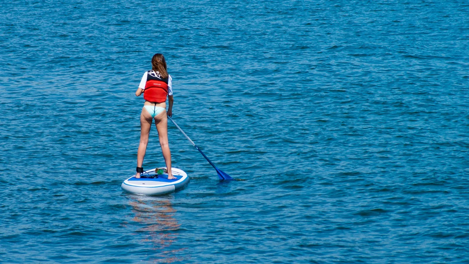 L'îlot Sur Sèvre - Canoë, Paddle