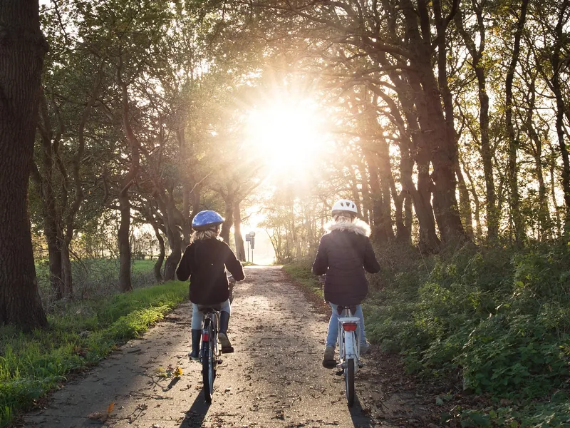 Lila Vélo Location
