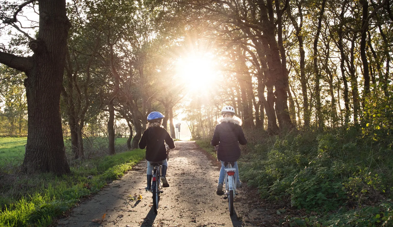Lila Vélo Location