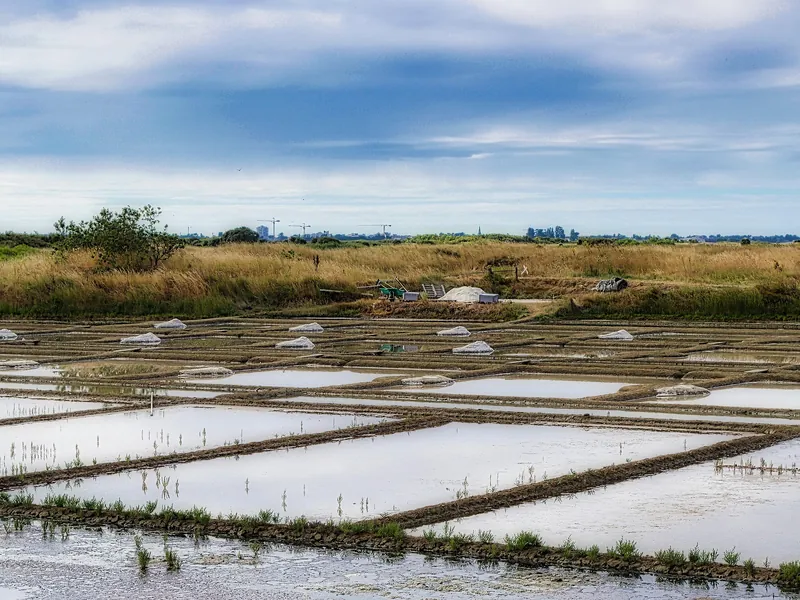 Les Salines