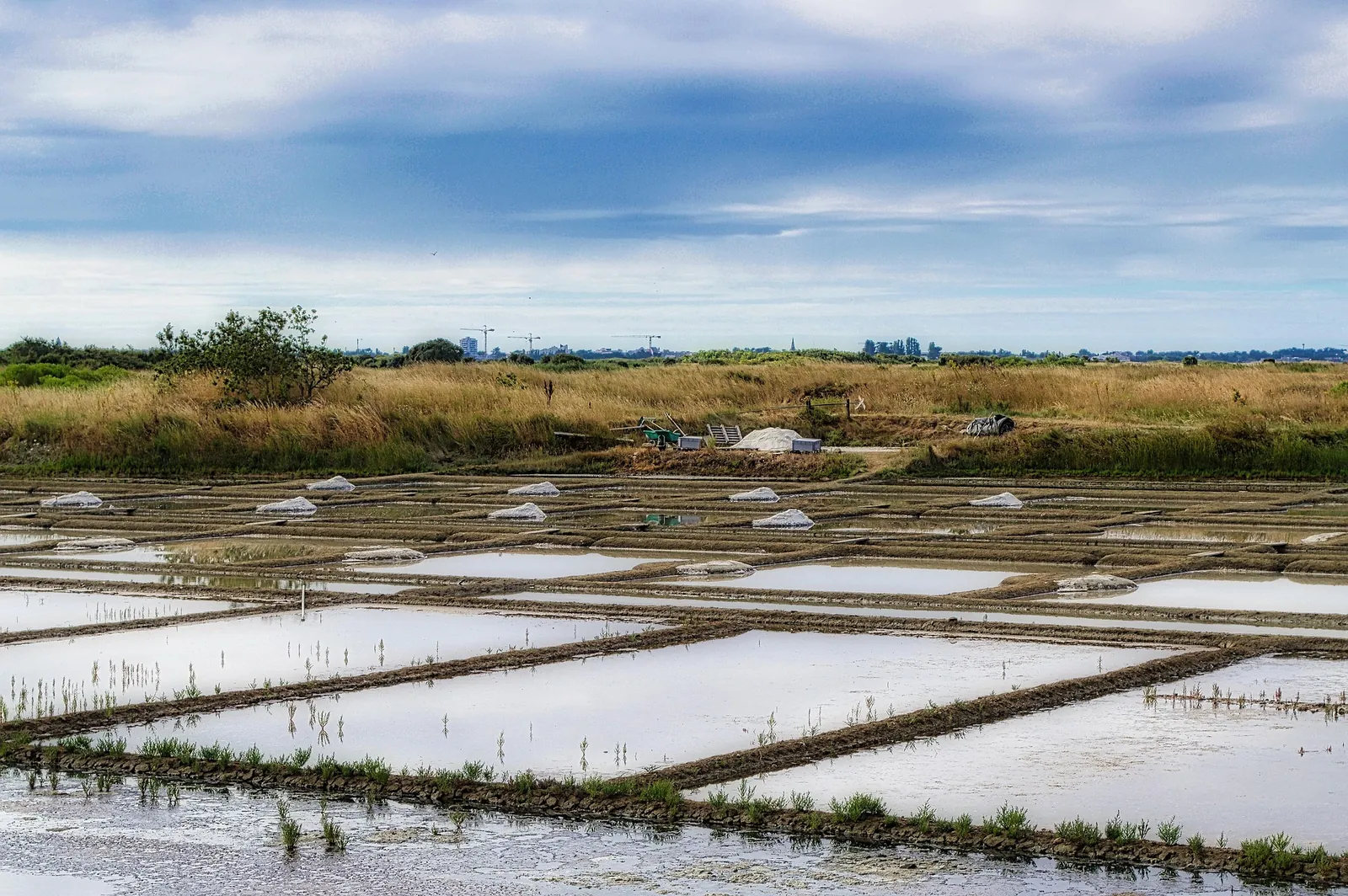 Les Salines