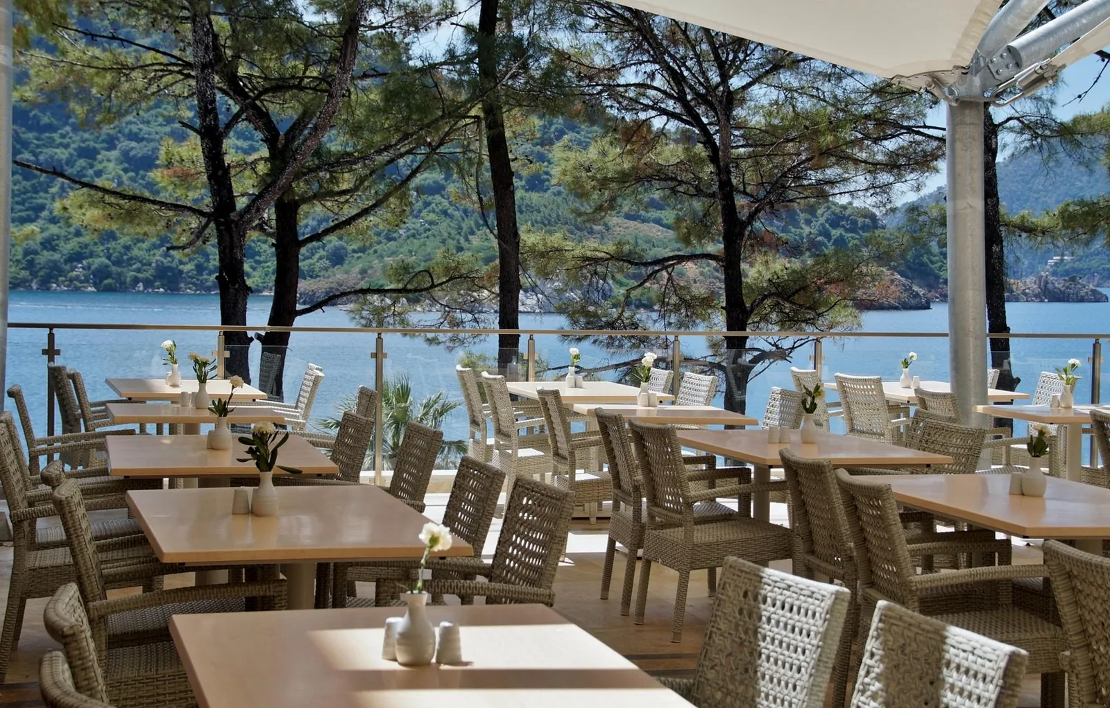 La guinguette du piquet