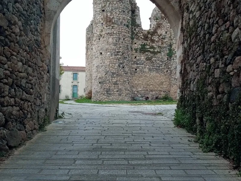Donjon de Chateaumur