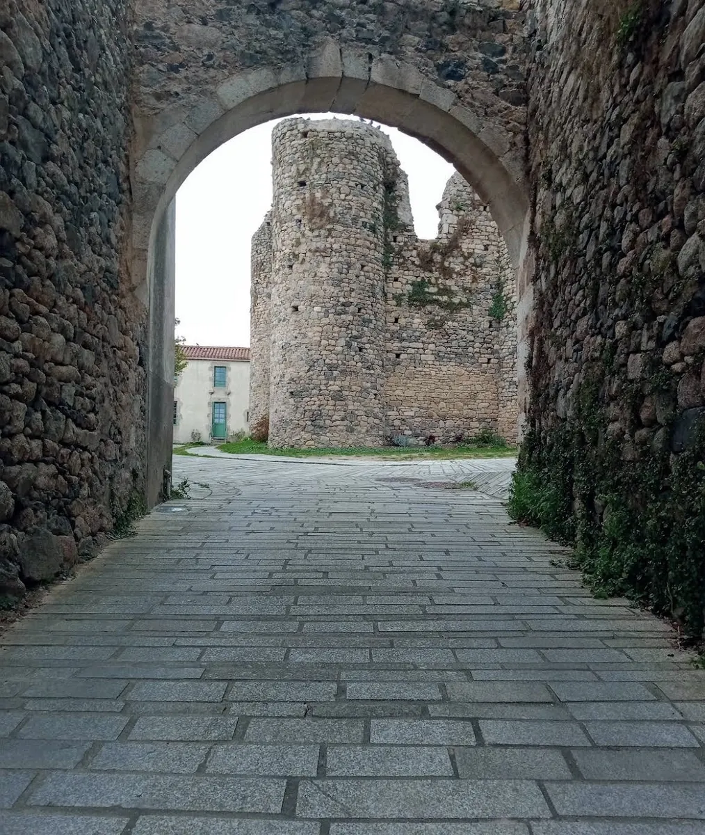 Donjon de Chateaumur