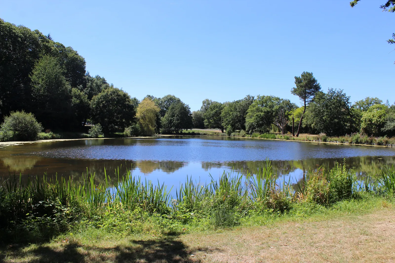 Lac de pêche La Bretèche