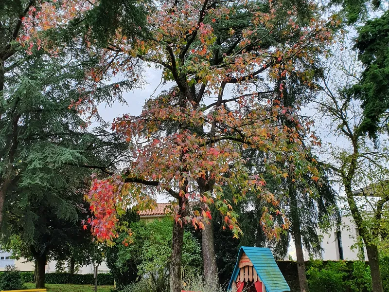 Parc de la mairie